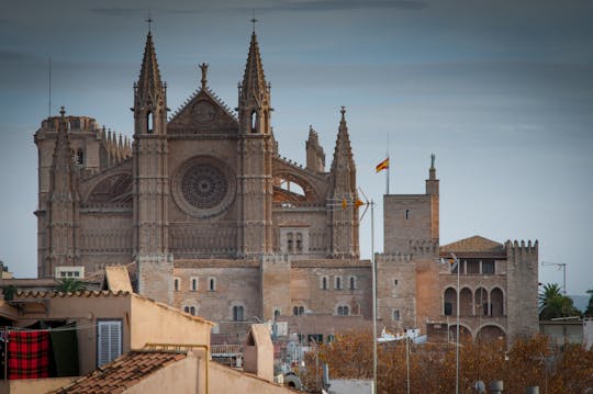 Experience Palma City with transport from the North area