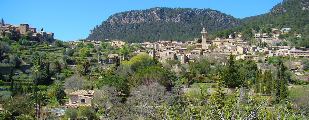 Palma City experience and Valldemossa visit from the East area