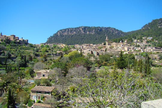Palma City experience and Valldemossa visit from the East area