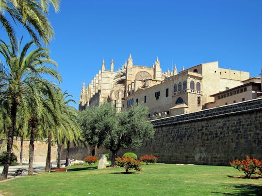 Palma City experience with tour and transport from the North Area