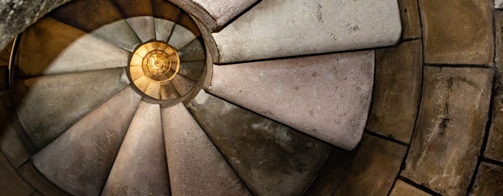 Guided tour of Sagrada Familia with entrance to the towers