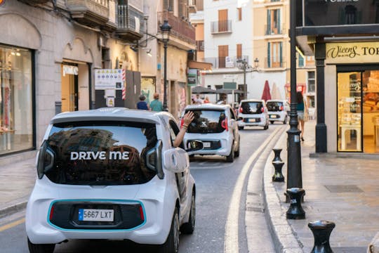 Palma Electric Car Tour & Castle Bellver
