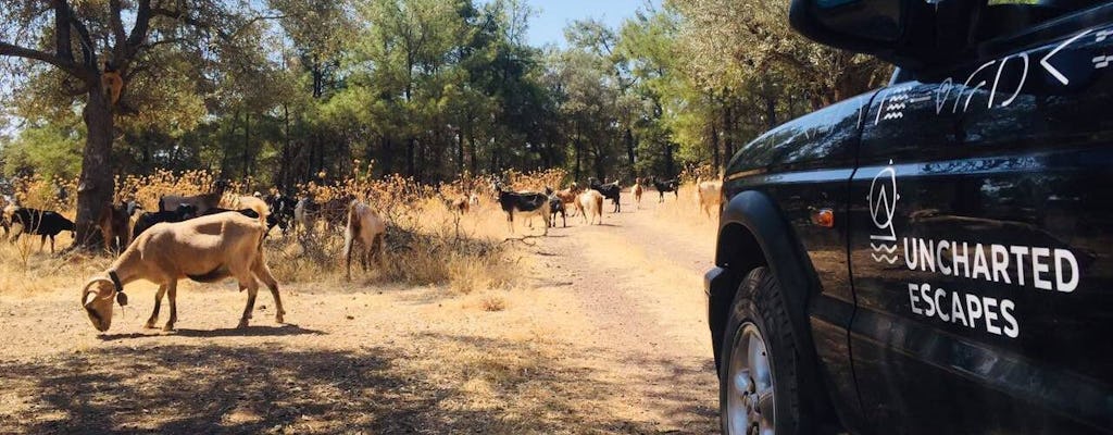 Entdecken Sie mehr in Rhodos mit der 4x4 Südroute