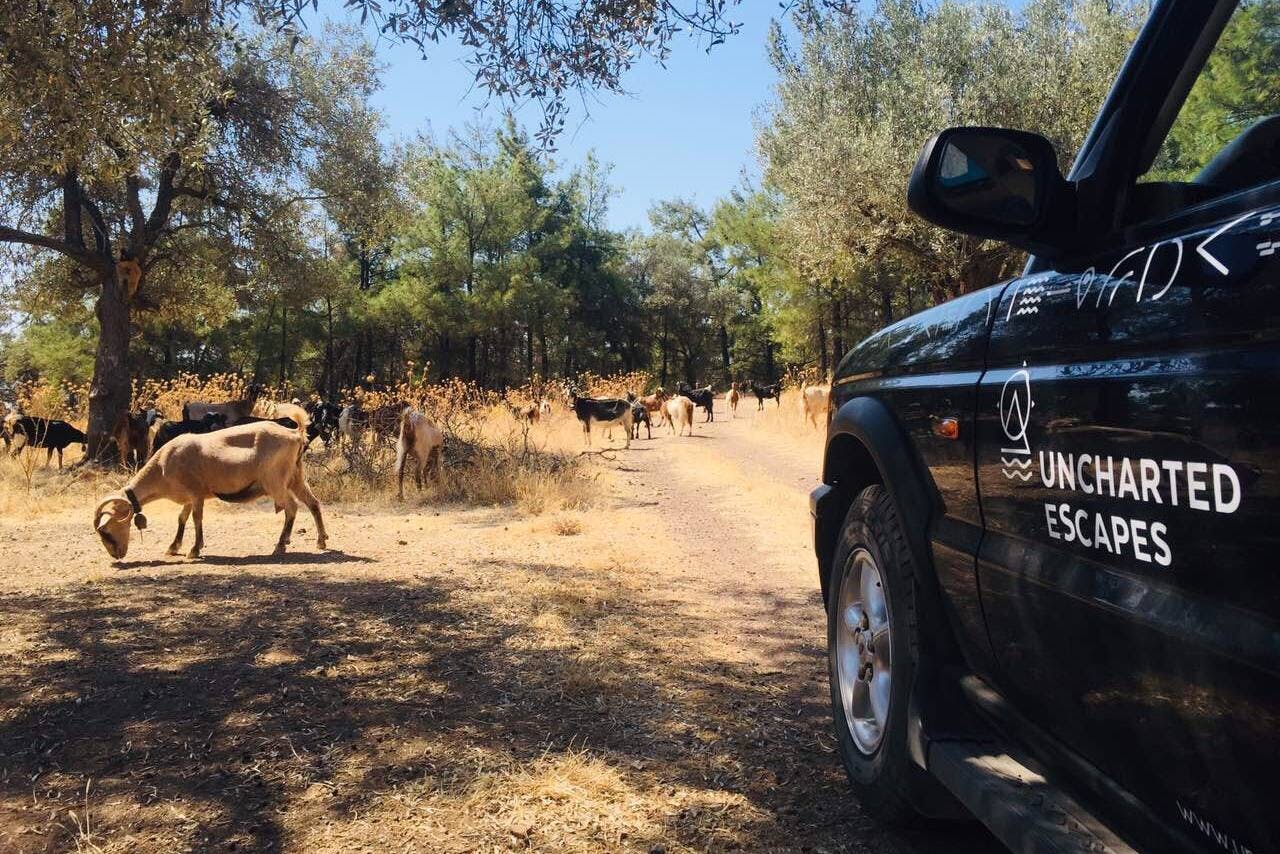 Verken meer in Rhodos met de 4x4 zuidelijke route