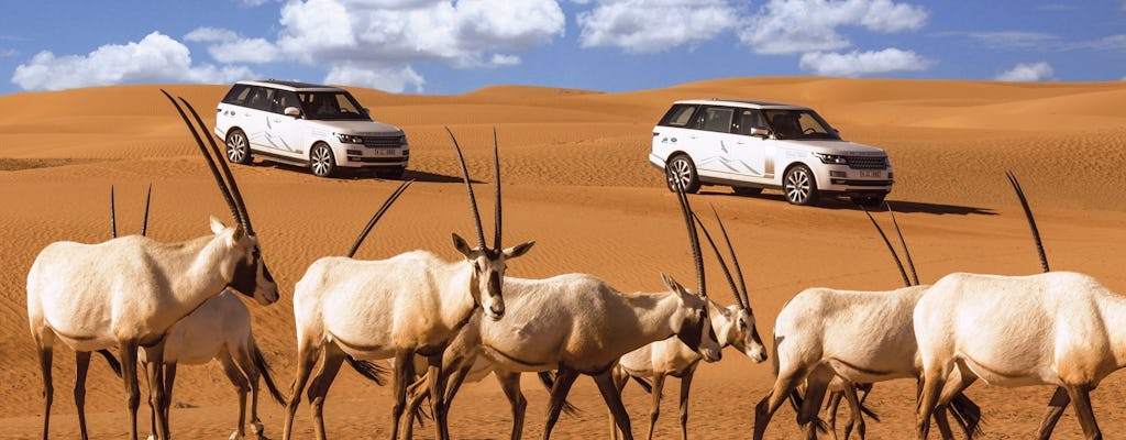 Conservation drive & breakfast at Al Maha guided tour from Dubai