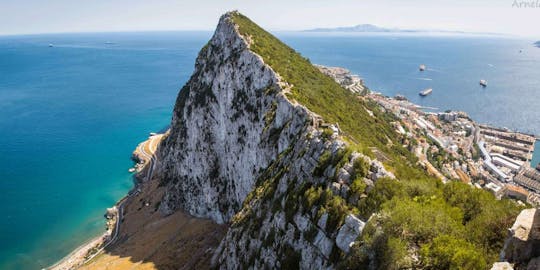 Gibraltar Full-Day Guided Tour from Malaga