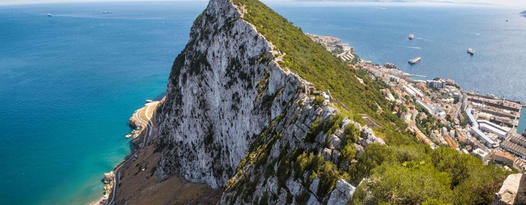 Gibraltar Full Day Guided Tour from South Malaga