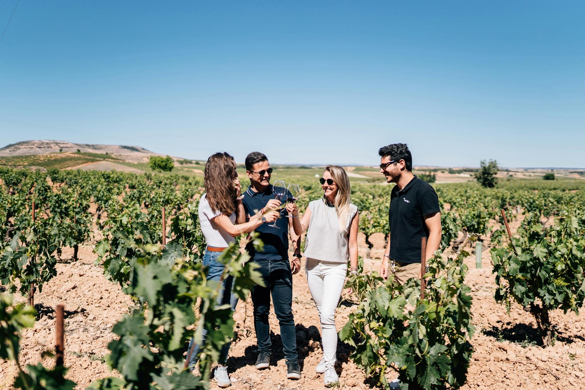 Rondleiding door de beste wijnhuizen van Ribera del Duero