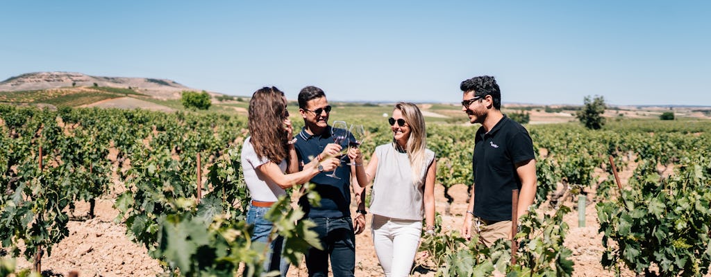 Tour pelas melhores vinícolas de Ribera del Duero