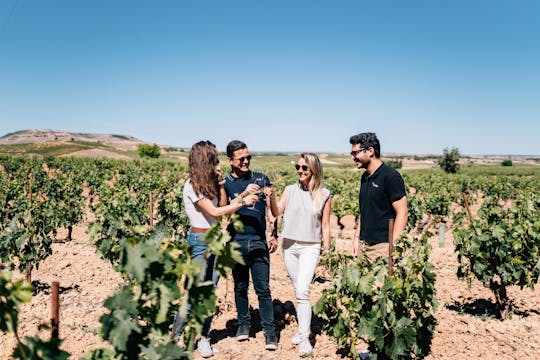 Visite des meilleurs vignobles de Ribera del Duero
