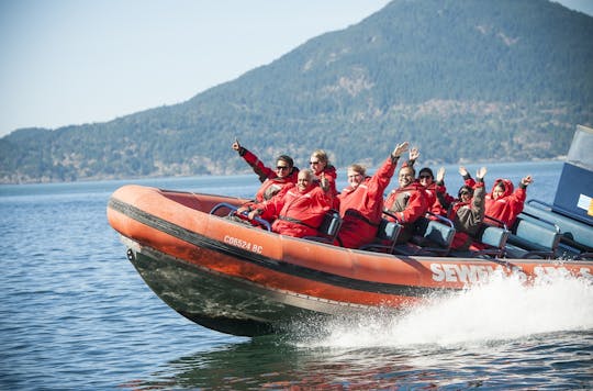 Howe Sound sea safari boat tour with shuttle transfer
