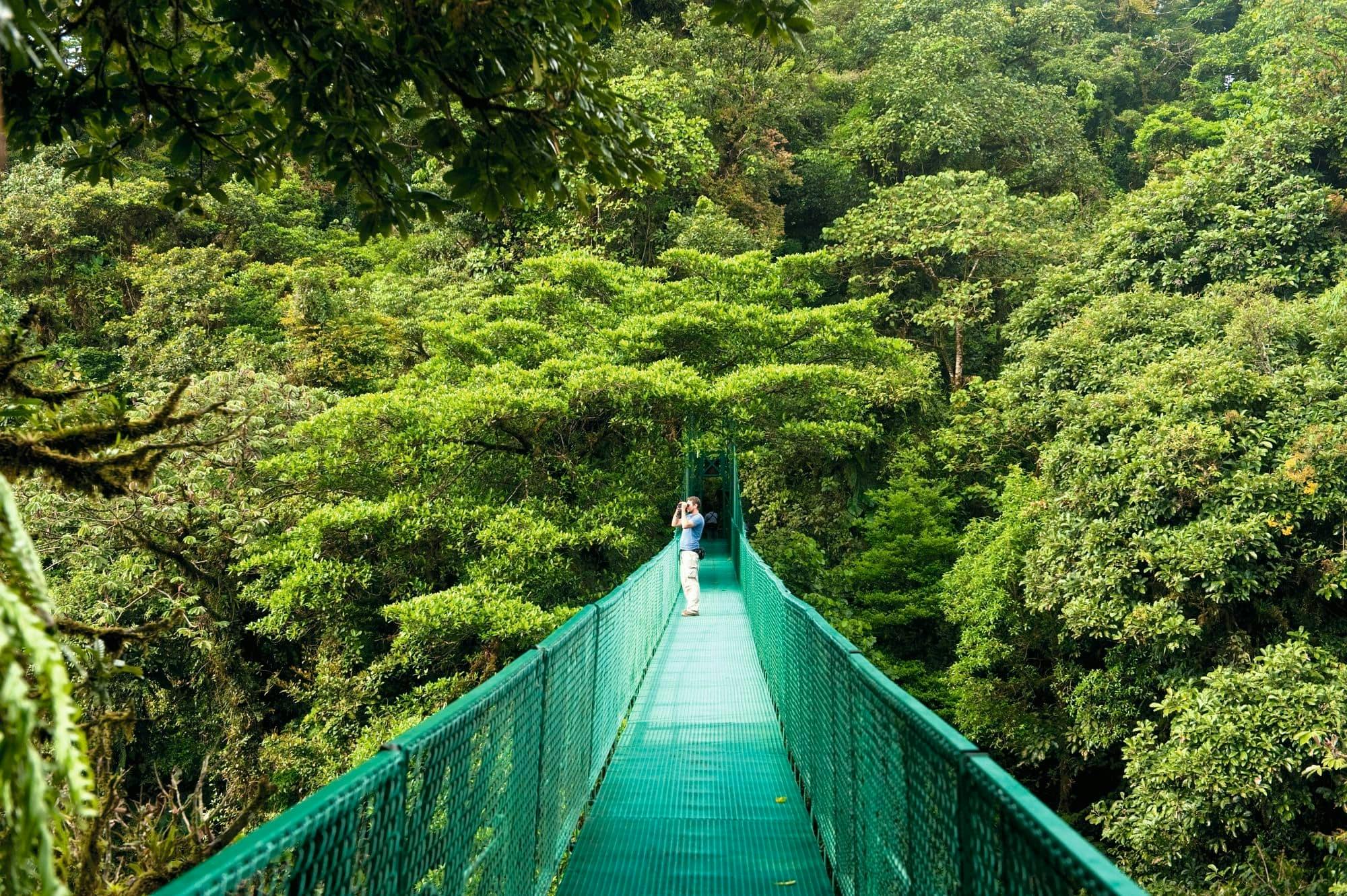 Sky Walk Montverde Tour