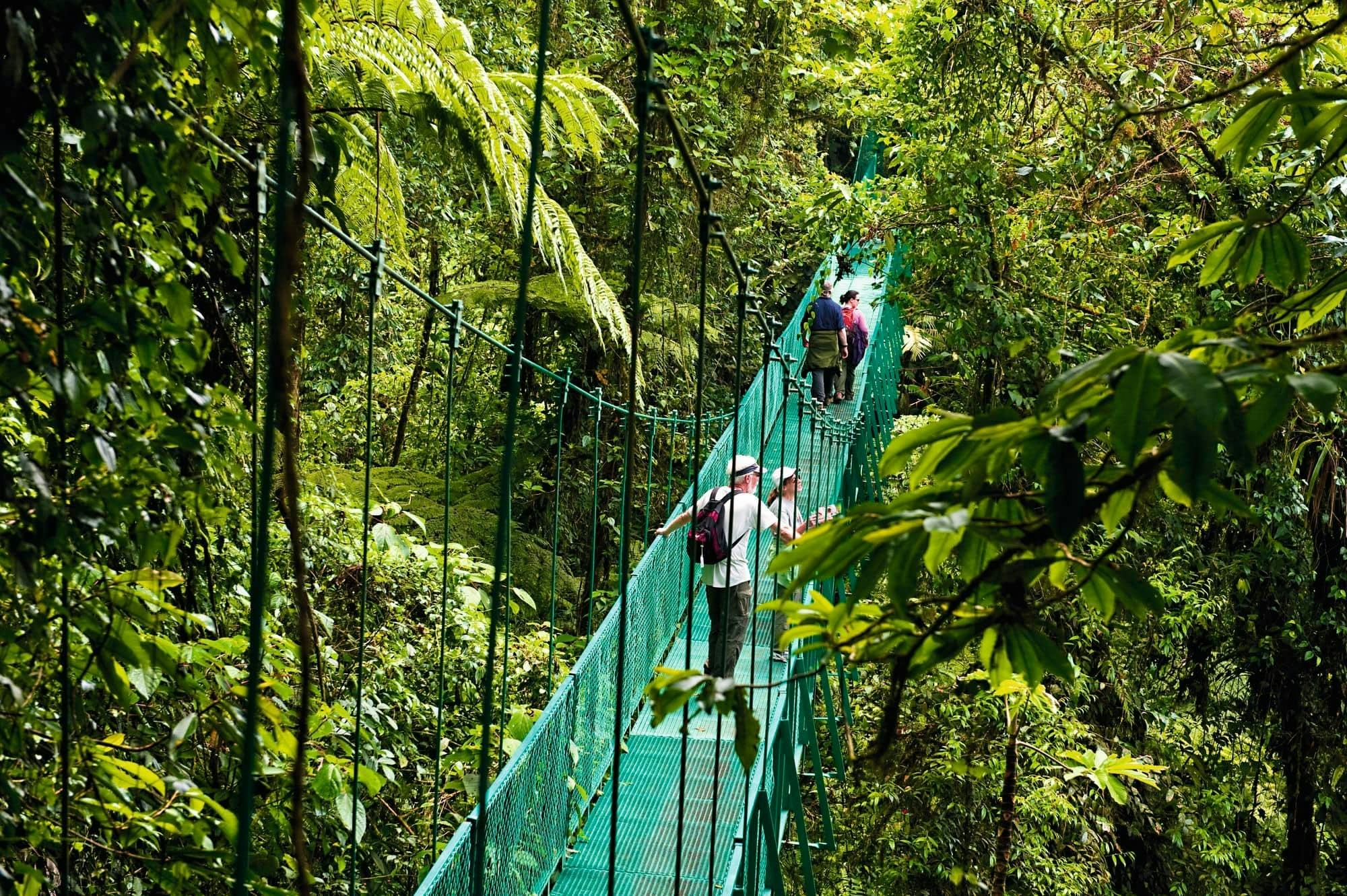 Paseo por el cielo en Monteverde