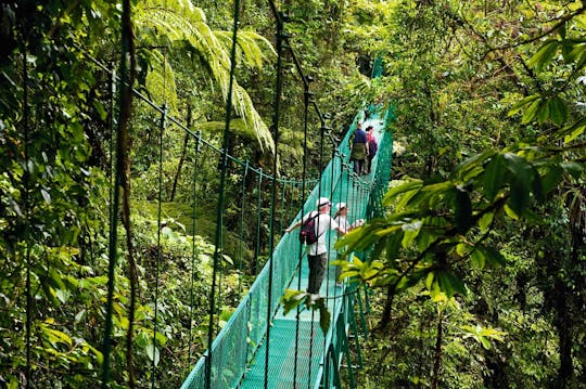 Excursión Sky Walk Monteverde