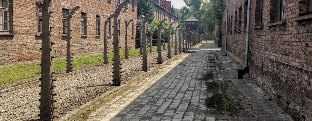 Escursione guidata di un giorno al campo di Auschwitz-Birkenau da Cracovia