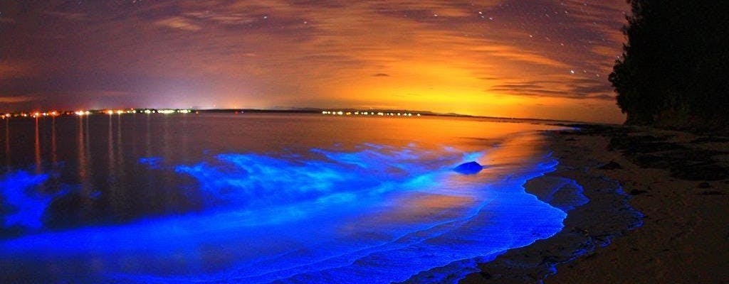 Passeio de caiaque de bioluminescência no rio Indian