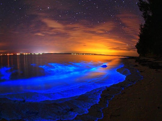 Passeio de caiaque de bioluminescência no rio Indian