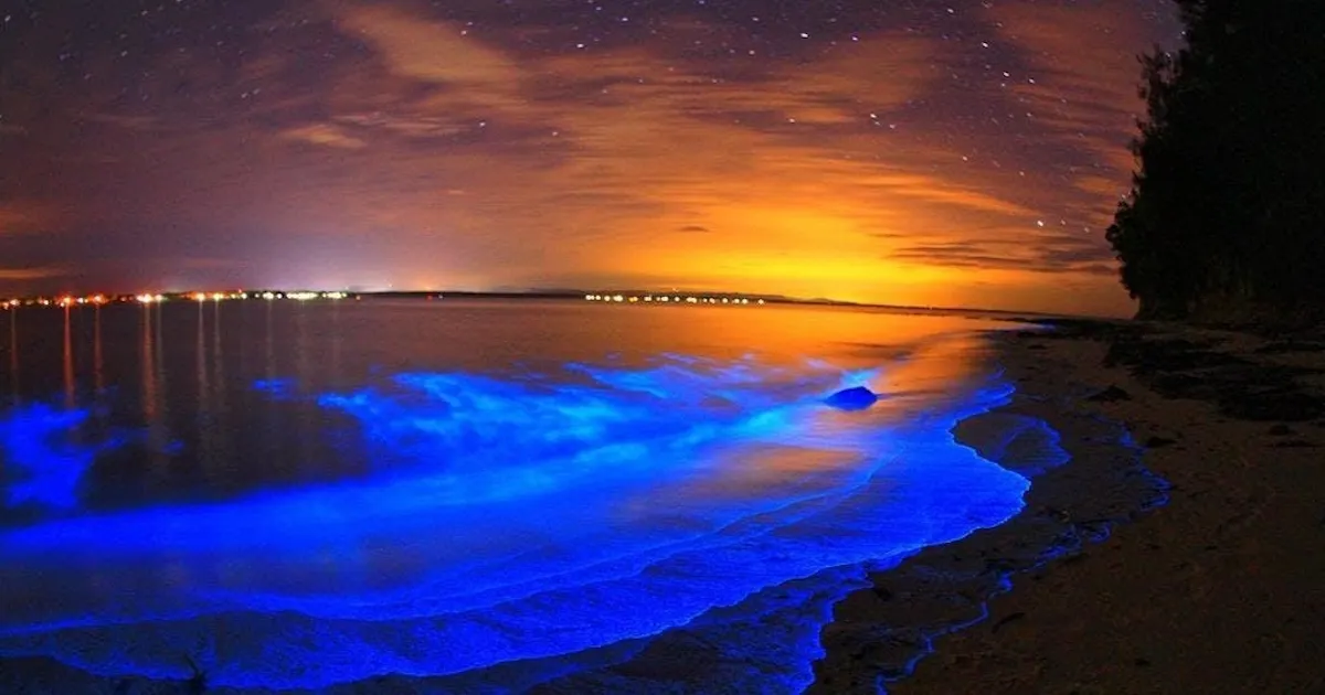 fareharbor-adventuresinflorida|51160-451529