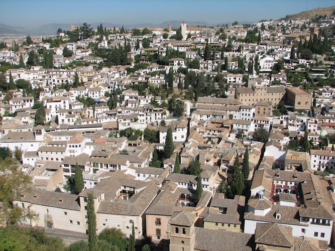 Granada walking tour with Alhambra Palace and Generalife Gardens from Málaga