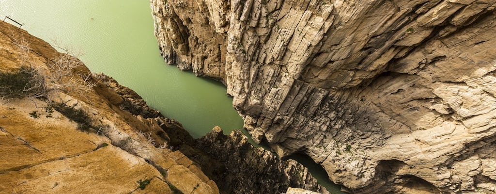 Excursion d'une journée sur le Caminito del Rey au départ de Málaga