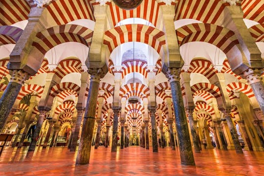 Córdoba Full-Day Tour from Estepona