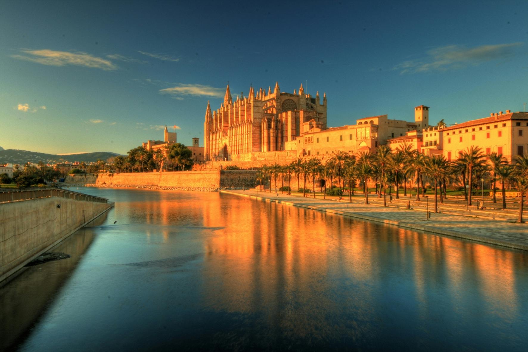 Palma City experience with transport from the East area