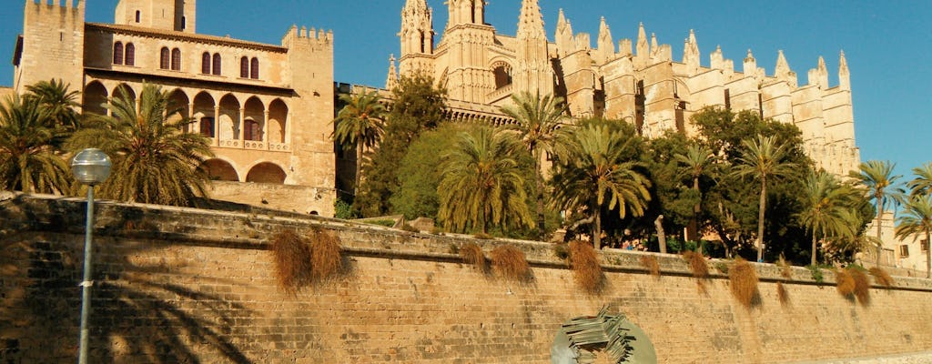 Palma City experience with tour and transport from the East Area