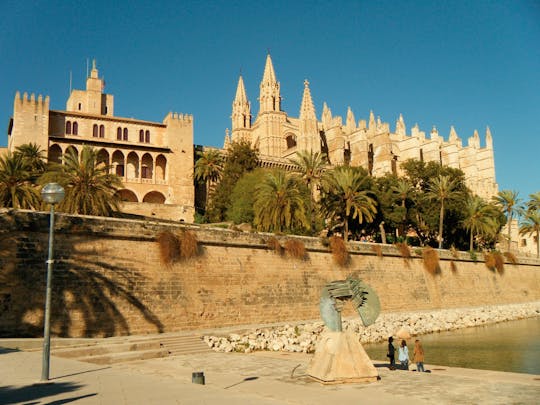 Palma City experience with tour and transport from the East Area