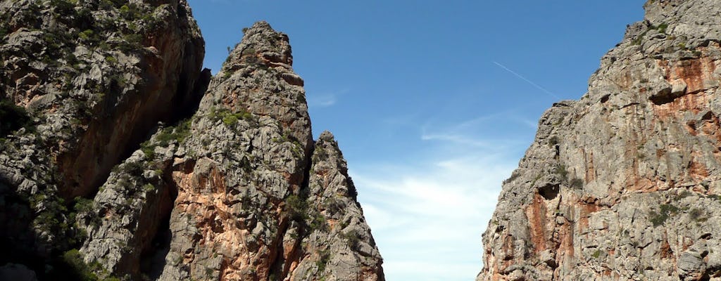 Full-day Majorca island tour from the North area