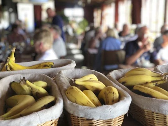 Visite guidée des saveurs de Tenerife avec déjeuner et dégustation de vins