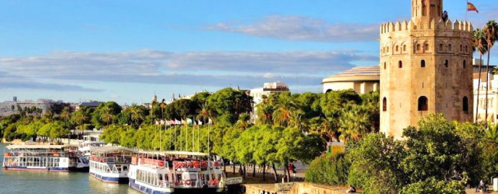 Seville city tour and shopping excursion