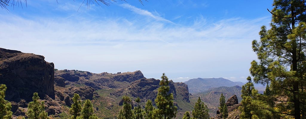 Hiking tour of the Kestrel canyon in Gran Canaria