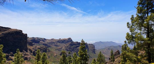 Randonnée au canyon Kestrel à Gran Canaria