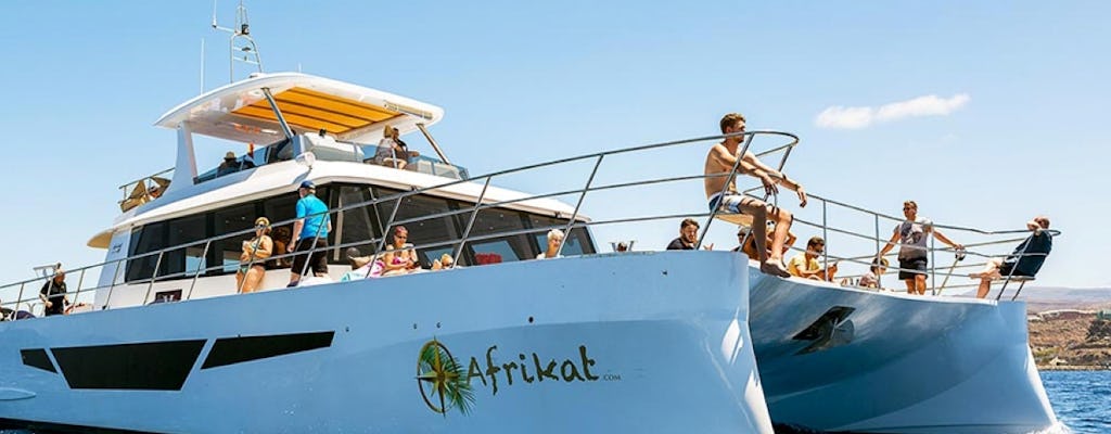 Gran Canaria all-inclusive morning cruise with Afrikat 69 catamaran
