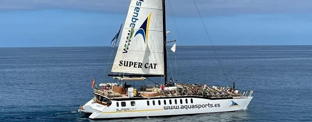 Dolphin watching with SuperCat in Gran Canaria