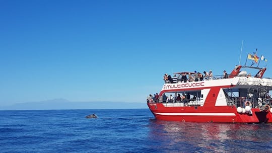 Walvissen spotten in de Multiacuatic catamaran