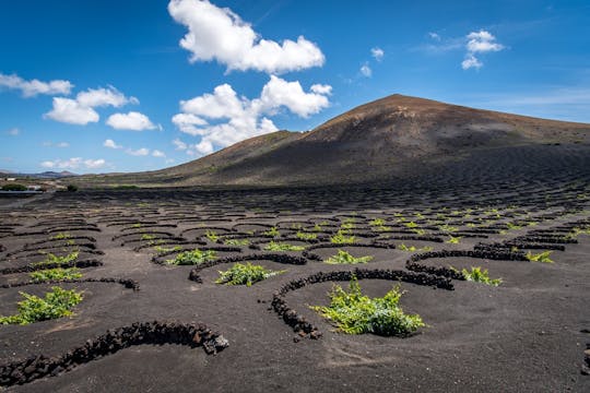 Visite guidée de Timanfaya et du sud de Lanzarote avec dégustation de vins