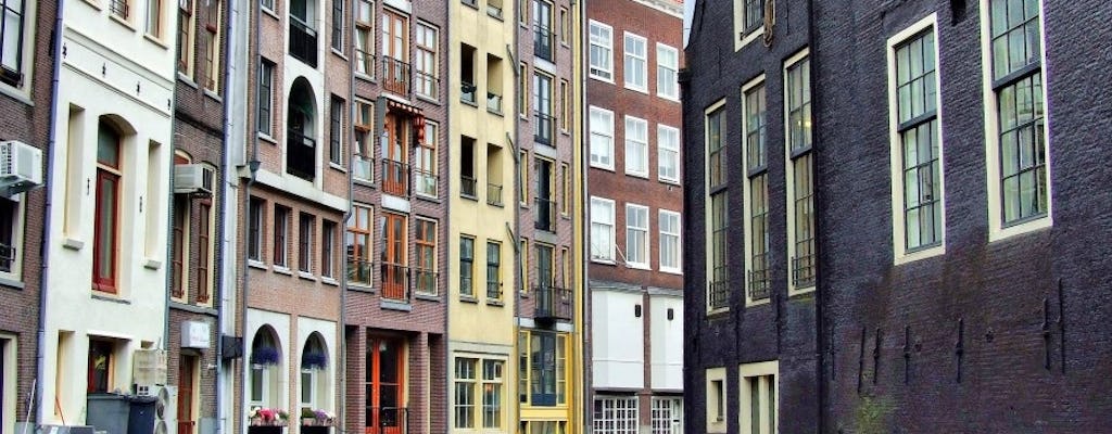 Amsterdam met en avant une visite privée à pied d'une demi-journée