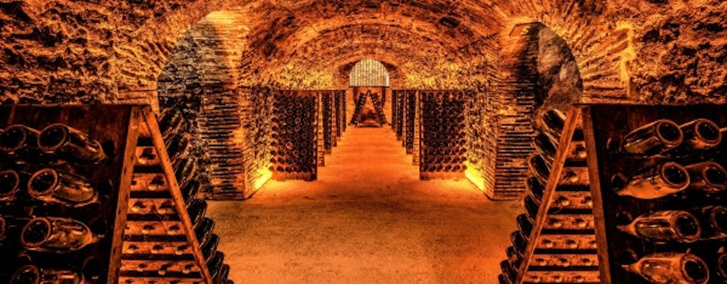 Visita guiada a la casa de champán Boizel con cata de vinos "Joyau de France"