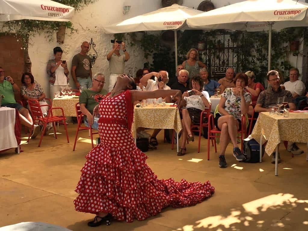 Ayamonte Boat Tour and Flamenco Show