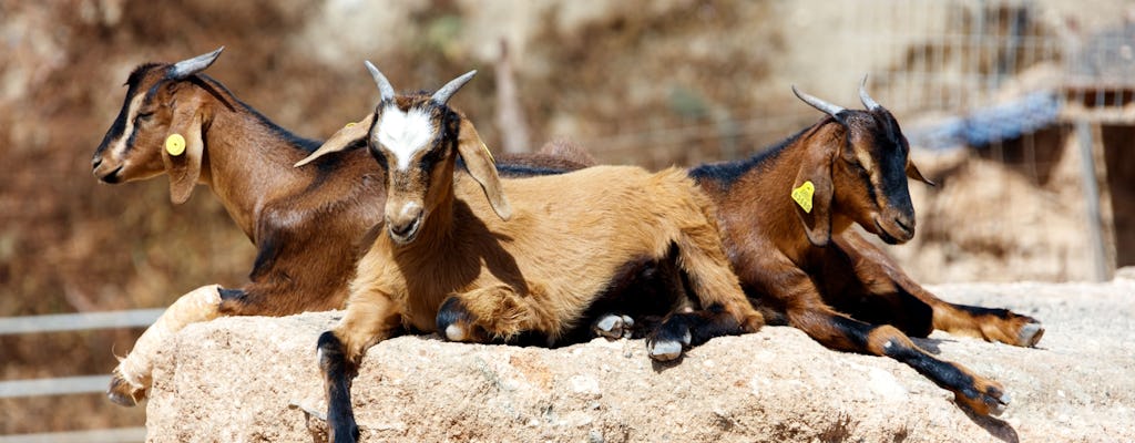 Entrada a la Quesería y Granja de Cabras de Fuerteventura