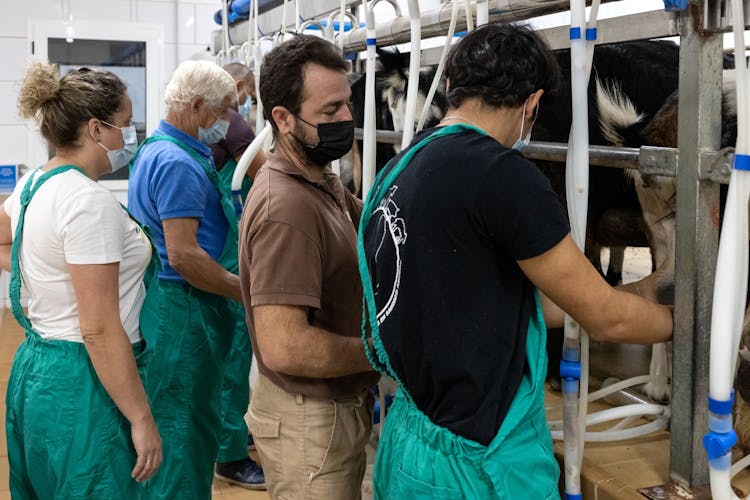 Cheese Making and Goat Farm Experience Fuerteventura
