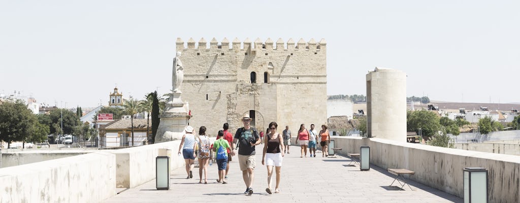 Córdoba dagexcursie vanuit Sevilla