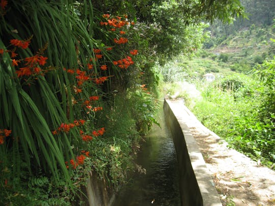 Guided trekking along the Levada Serra da Água Valley