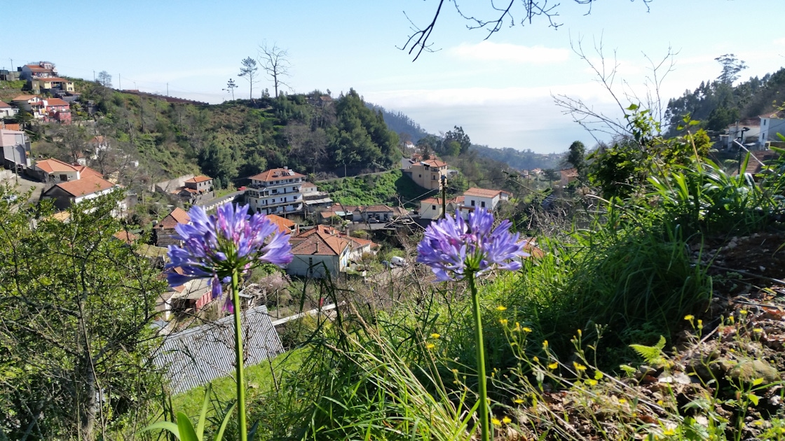 Guided trekking along the Levada Vale Paraíso musement