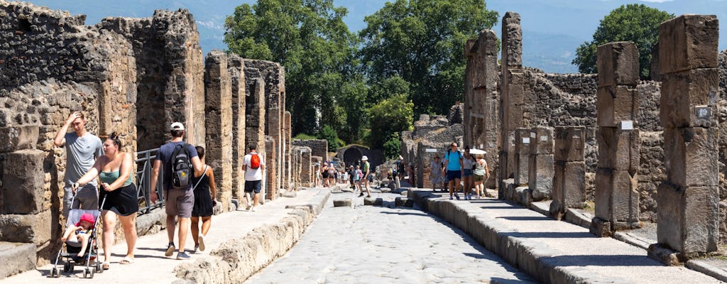 Pompeii and Herculaneum guided tour with local lunch