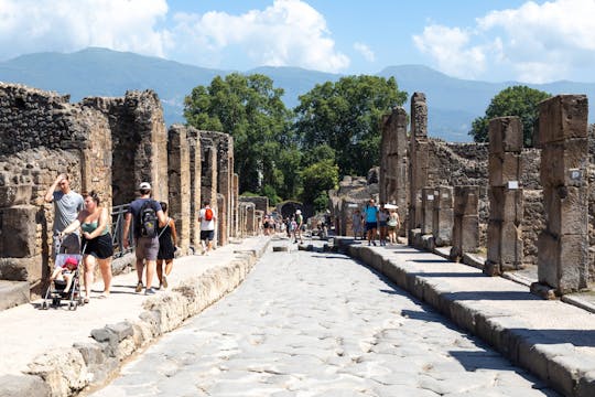 Pompeya y Herculano Excursión Seleccionada con Almuerzo Local