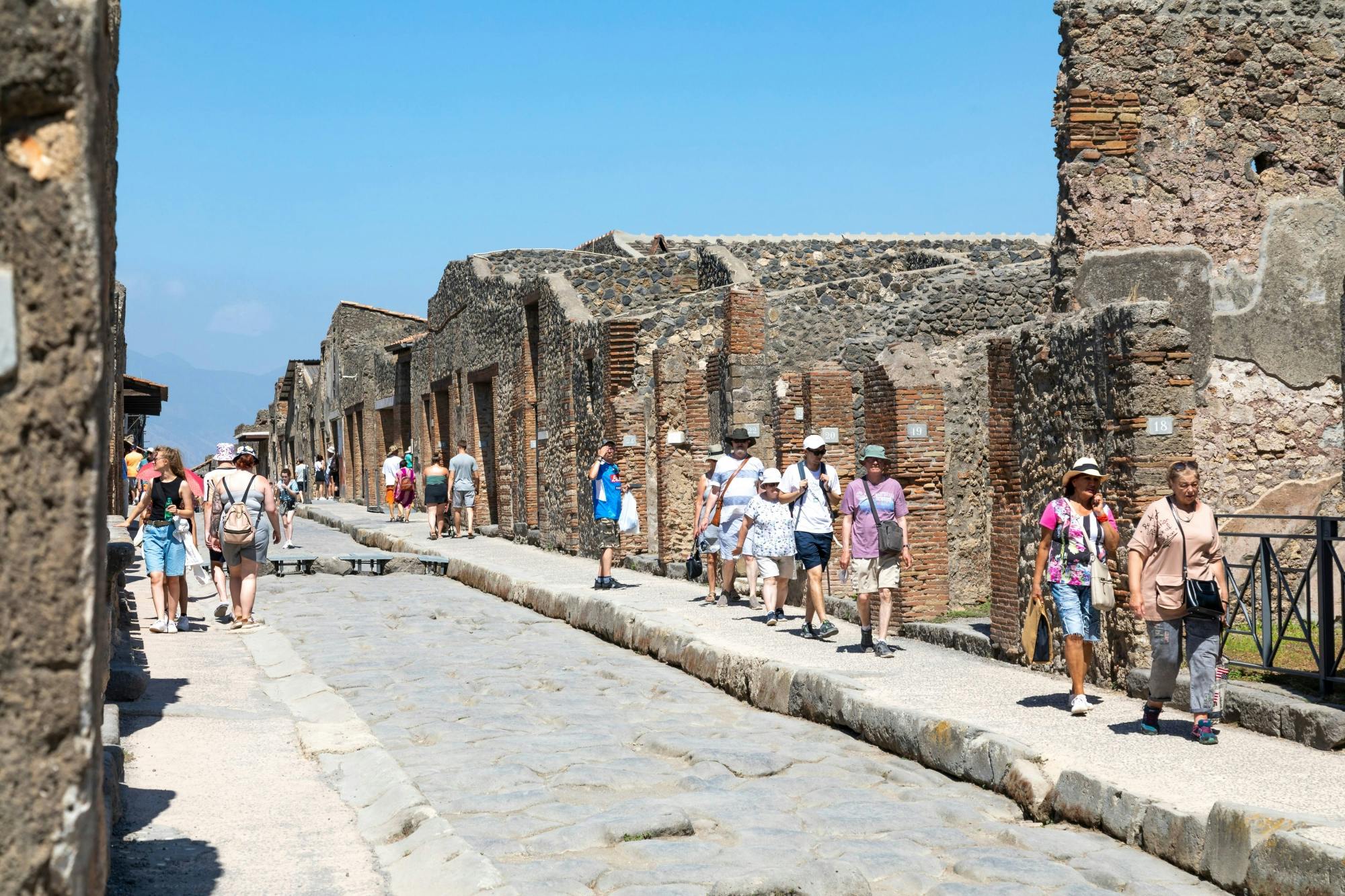 Pompeii & Vesuvius with Villa of Mysteries Select Tour