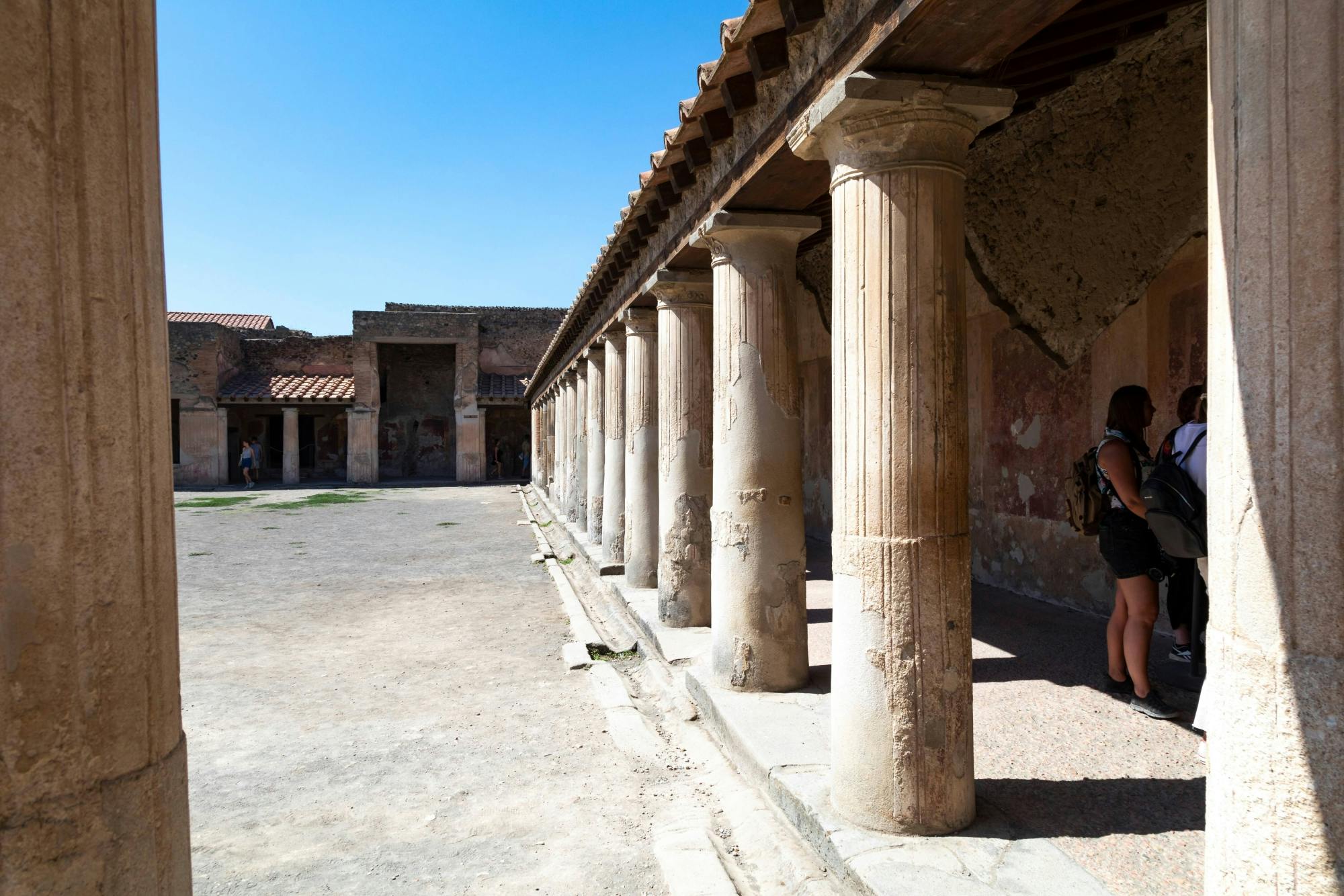 Pompeii & Vesuvius with Villa of Mysteries Select Tour