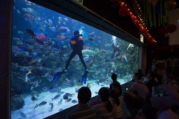 Toegangsticket Aquaria KLCC Oceanarium in Kuala Lumpur